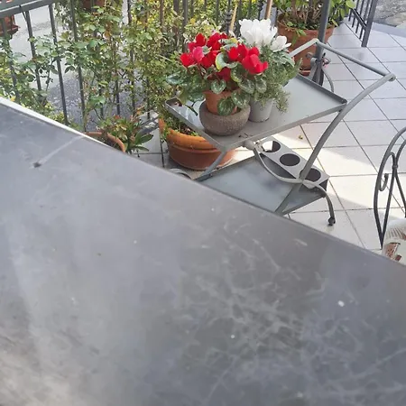 Πανσιόν Numero 23