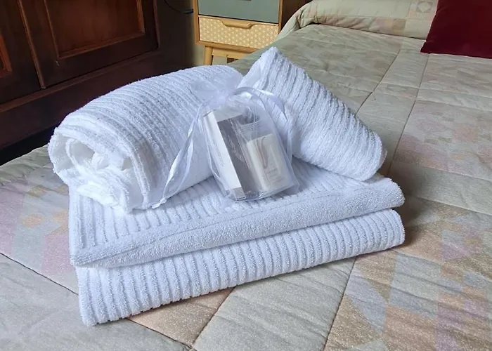 Pensión Numero 23 *